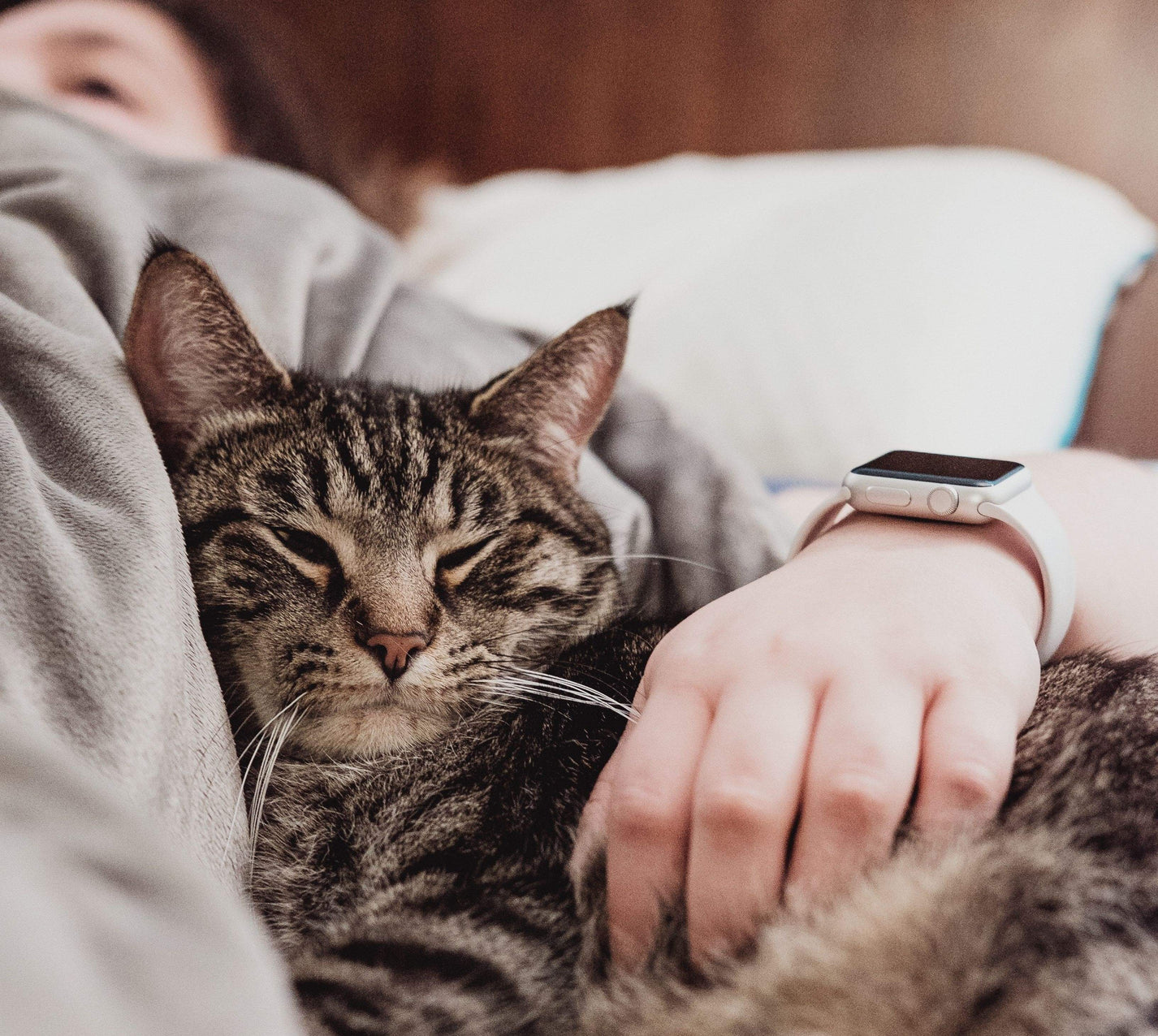 A cat rests on a flat sheet with its owner.
