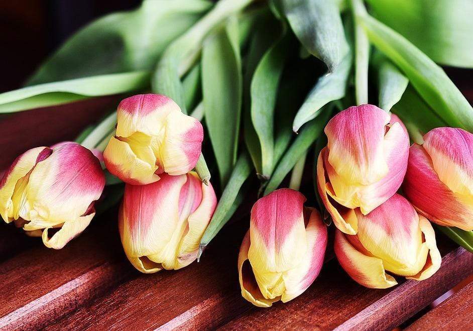 Tulips are great for Spring decorating.