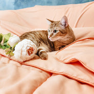 Perfect Peach Oversized Comforter Set