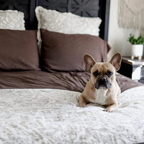 Load image into Gallery viewer, Chocolate Sheet Set