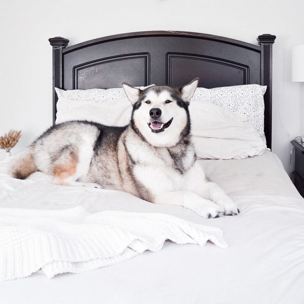 Load image into Gallery viewer, Classic White Sheet Set