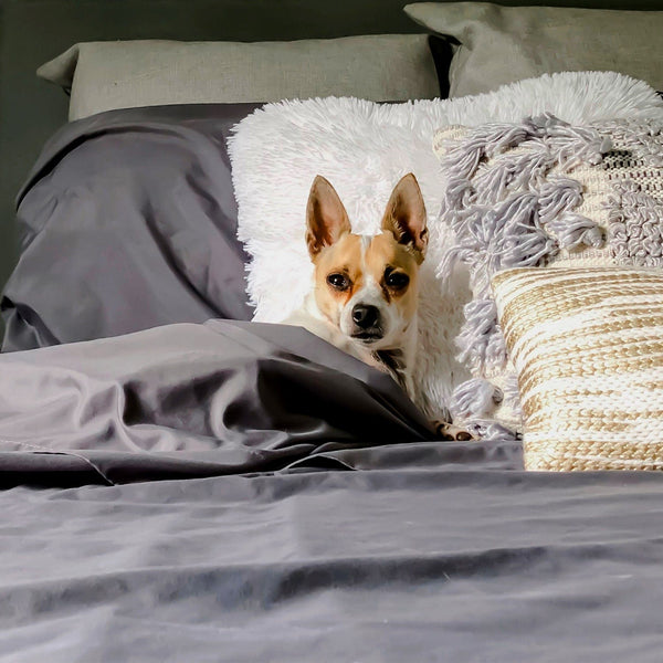 Load image into Gallery viewer, Graphite Gray Sheet Set