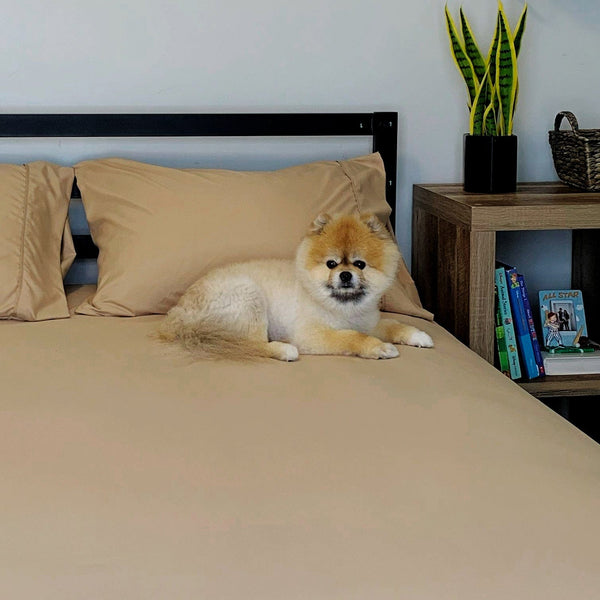 Load image into Gallery viewer, Light Mocha Sheet Set