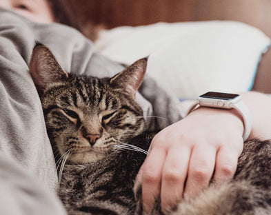 A cat rests on a flat sheet with its owner.
