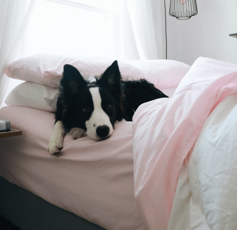 How to Keep Sheets on the Bed