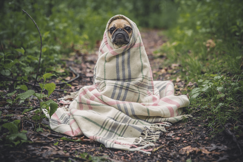 8 Keys to Staying Cool No Matter the Temperature