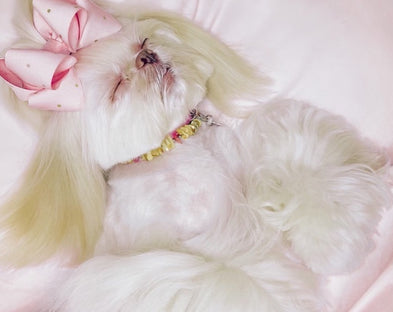 A sleeping dog in Cotton Candy Pink PeachSkinSheets.