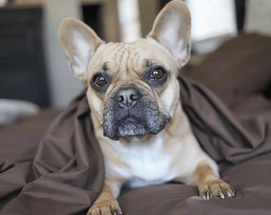 Get comfortable and avoid night sweats with PeachSkinSheets.