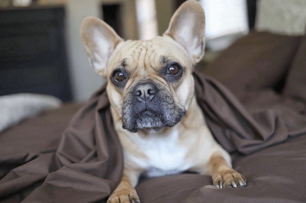 Night Sweats Causes: Four Possibilities