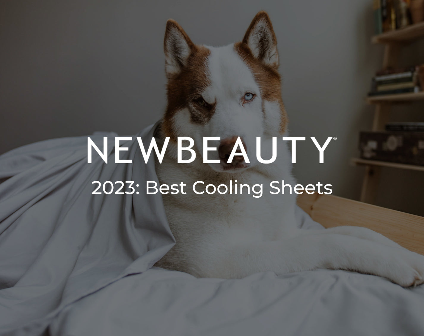 NewBeauty 2023 Best Cooling Sheets The Original PeachSkinSheets®