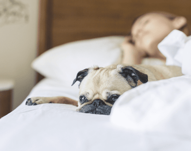 Getting better sleep at night doesn’t have to be difficult.
