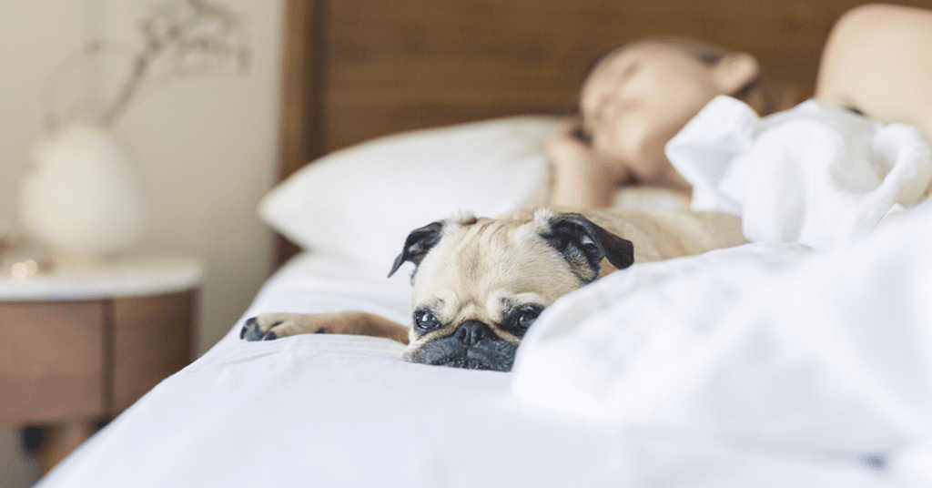 How to Get Better Sleep at Night