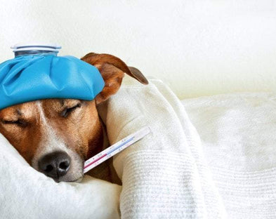 Antimicrobial Products That Are Perfect For Your Sleep Sanctuary