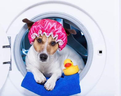 In The Know - How Often Should You Wash Your Sheets?