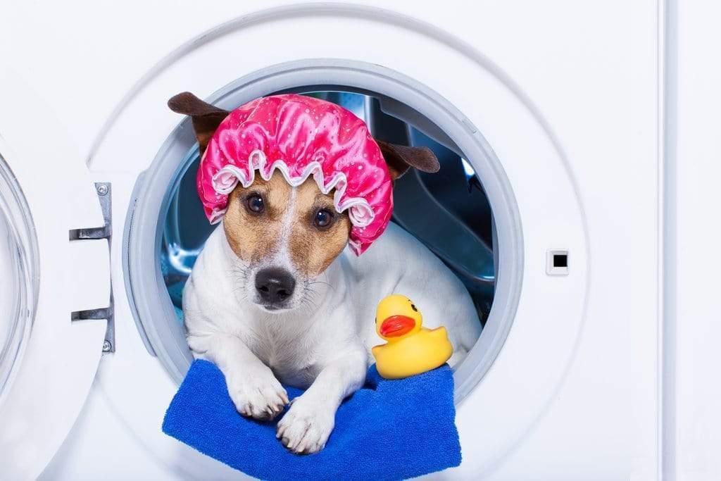 In The Know - How Often Should You Wash Your Sheets?
