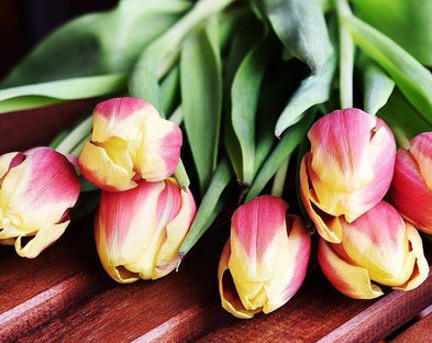 Tulips are great for Spring decorating.