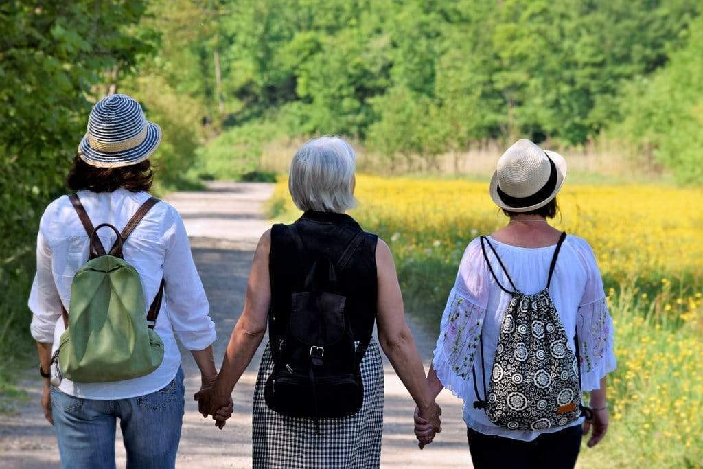 The Menopause Survival Guide