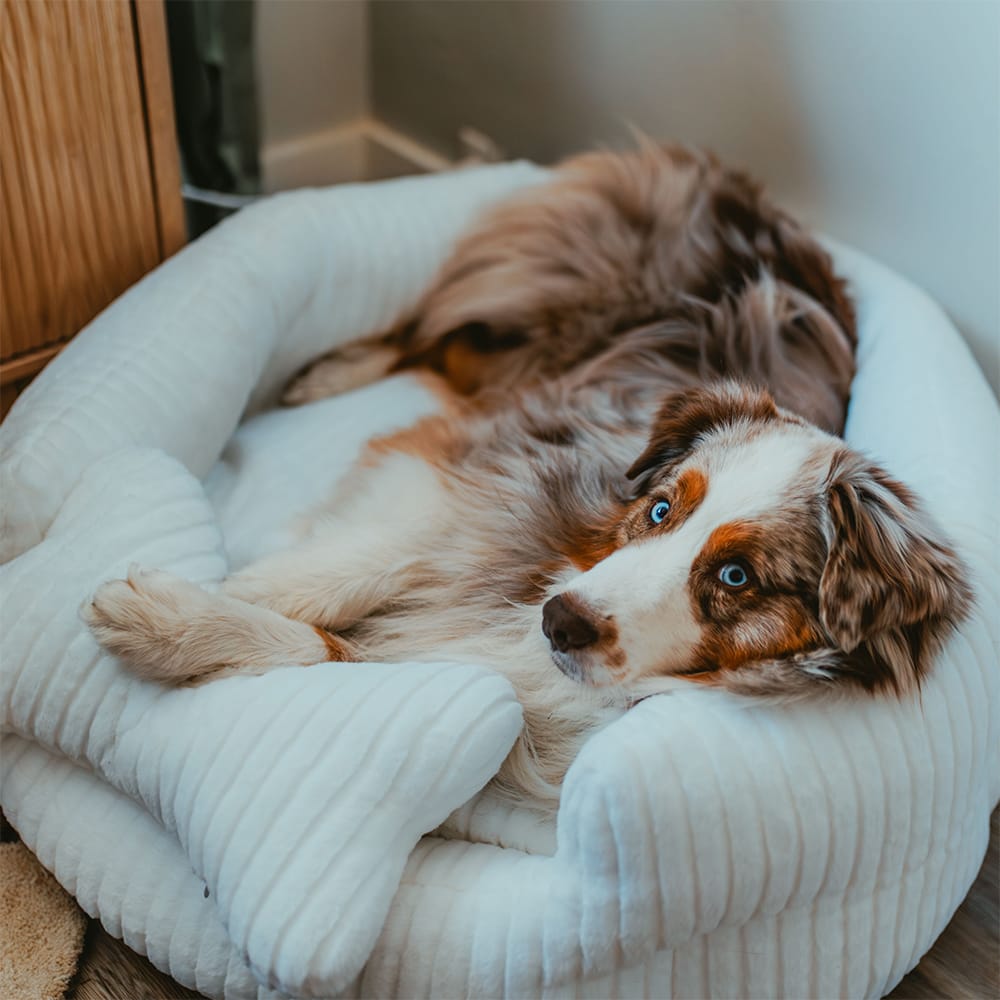 PeachSkinSheets x PeachyMink™ Faux Fur Pet Beds