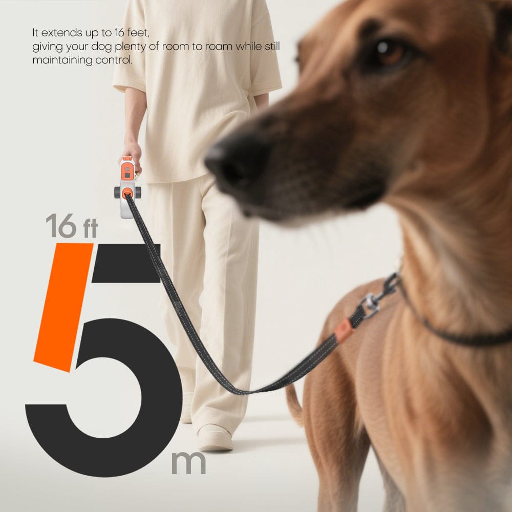 PeachSkinPets Retractable LED Light Up Pet Leash