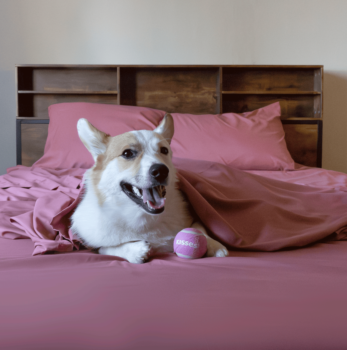 Retro Rose Sheet Set