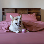 Retro Rose Sheet Set