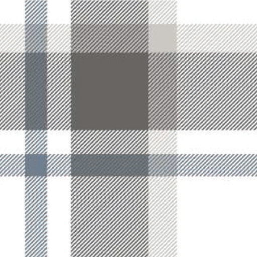 french blue plaid